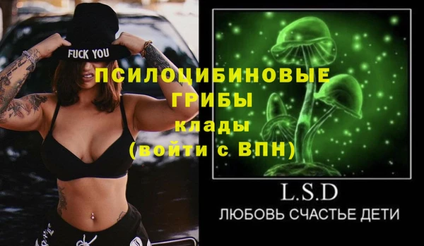 эйфоретик Алексин